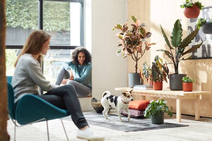 b.for soft rond 18cm antraciet